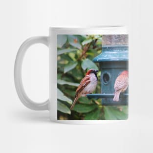 Three Bird Friends Mug